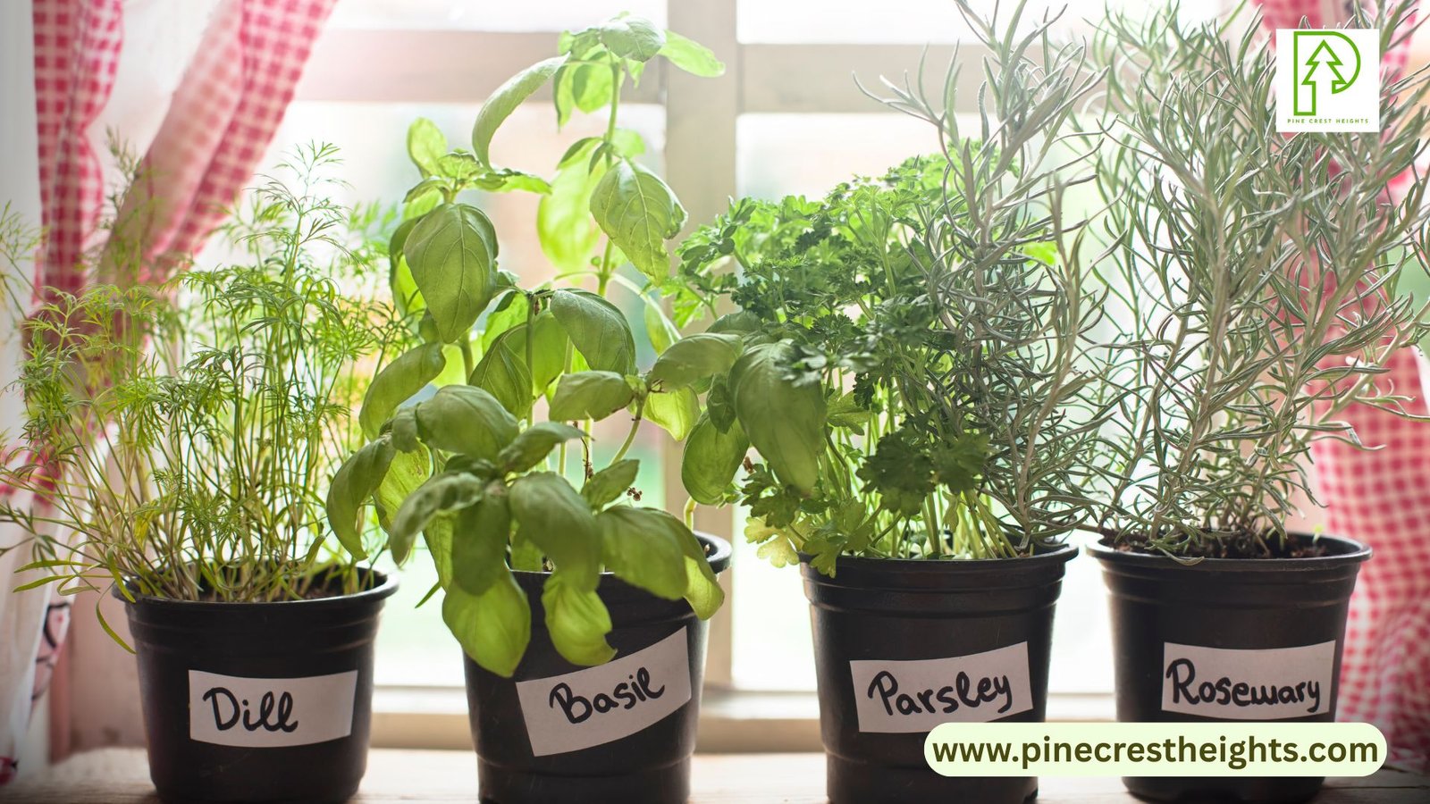 To Grow Herbs & Edible Flowers
