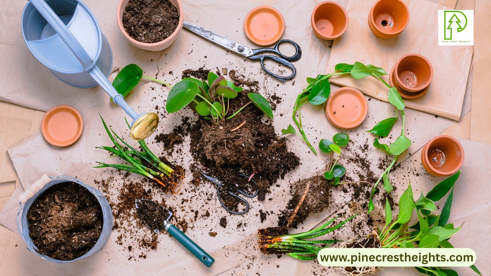 To Grow Herbs & Edible Flowers