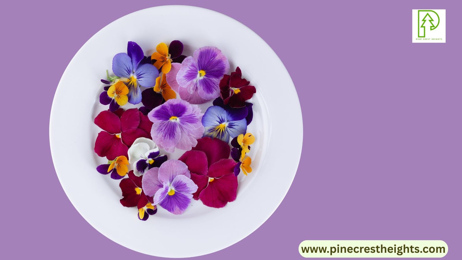 Edible Orchid